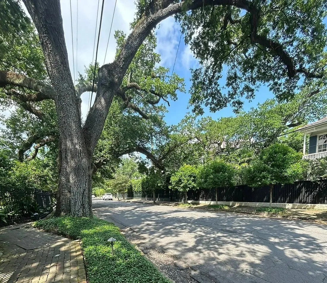 Tree-lined street in New Orleans Lower Garden District